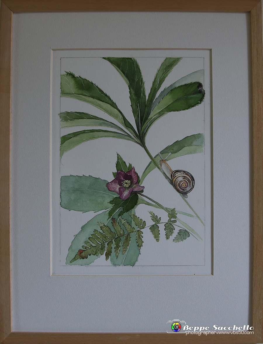VBS_1748 - Castello di Miradolo - Mostra Oltre il giardino l'Abbecedario di paolo Pejrone.jpg